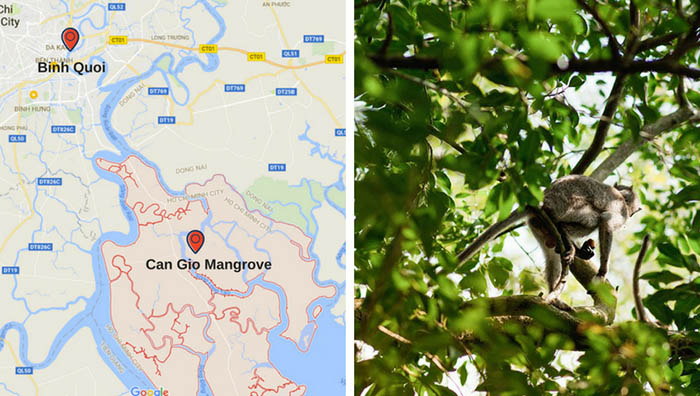 37FDF - Discover Can Gio Mangrove by Speedboat Les Rives