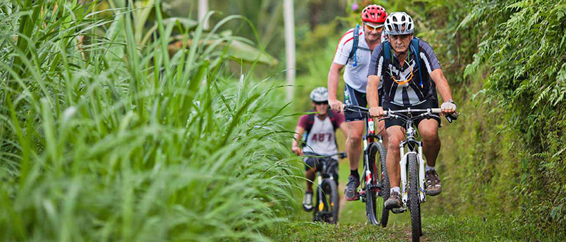 E3AD9 - Small Group Tour - Siem Reap Bike Ride 