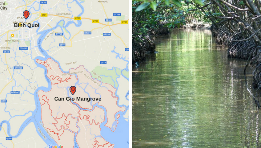 F50D7 - Discover Can Gio Mangrove by Speedboat Les Rives
