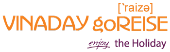 logo vinaday