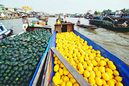 Private Tour: A Day Cai Be Floating Market & Vinh Long