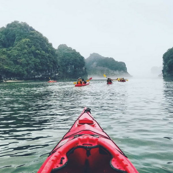 A Day to Discover Ha Long Bay 